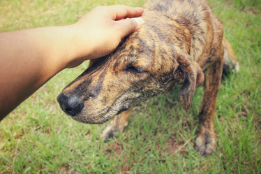 Similar image 8725508