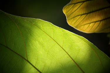 Similar image 8725512