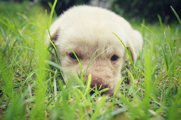 Similar image 8725520