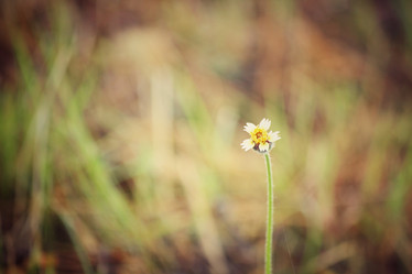 Similar image 8725532