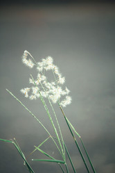 Similar image 8725538