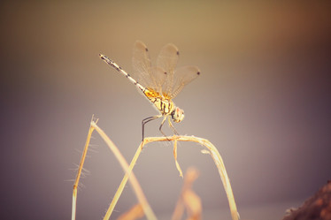 Similar image 8725540