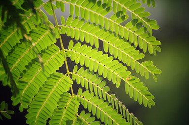 Similar image 8725546