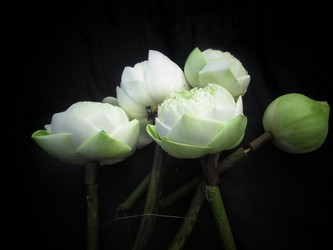 Similar image 8725591