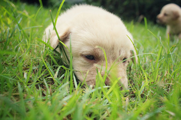 Similar image 8725597