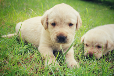 Similar image 8725599