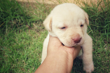 Similar image 8725601