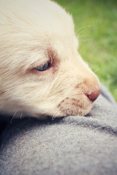 Similar image 8725603