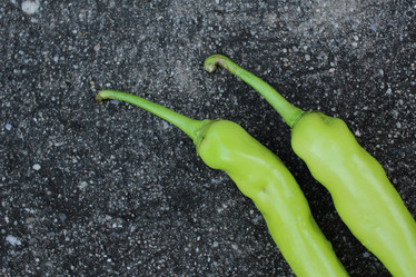 Similar image 8725608