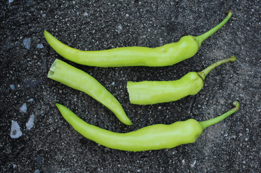 Similar image 8725618