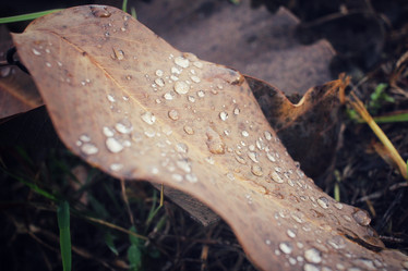 Similar image 8725774