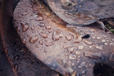 Similar image 8725779