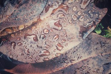 Similar image 8725826