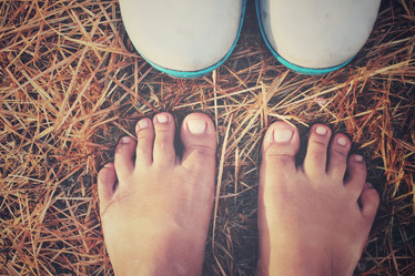 Similar image 8725830