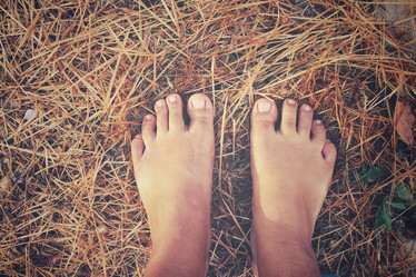 Similar image 8725834