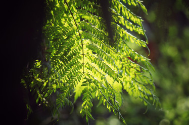 Similar image 8725912