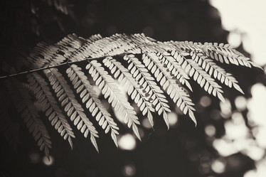 Similar image 8725914