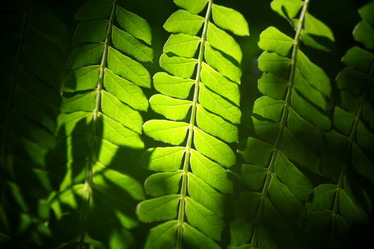 Similar image 8725916