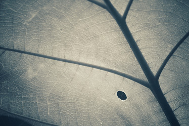 Similar image 8725918