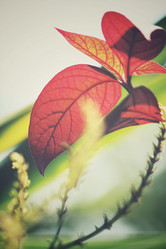 Similar image 8725922