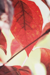 Similar image 8725924