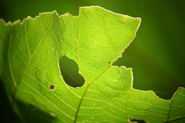 Similar image 8725957