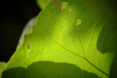 Similar image 8725960