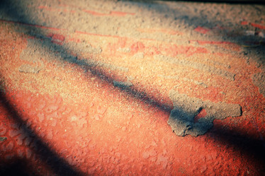 Similar image 8725962