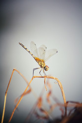 Similar image 8725970