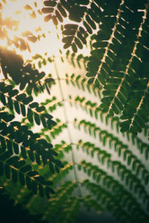 Similar image 8725972