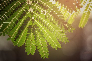 Similar image 8725974