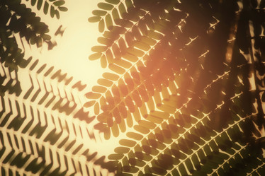 Similar image 8725976