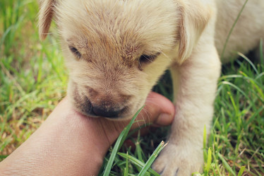 Similar image 8725978