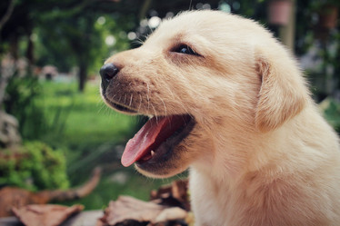 Similar image 8725980