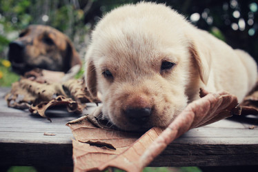 Similar image 8725984