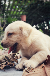 Similar image 8725986