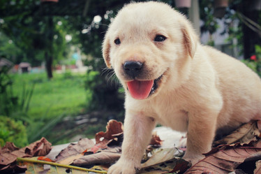 Similar image 8725988