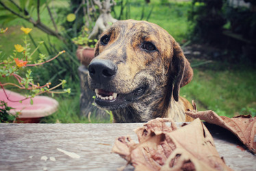 Similar image 8725990