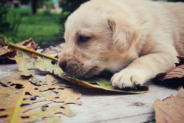 Similar image 8725994