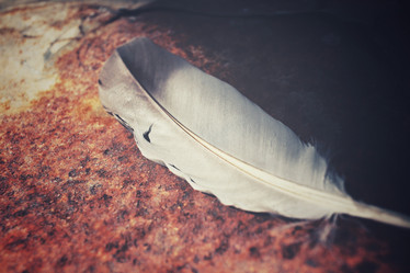 Similar image 8726230