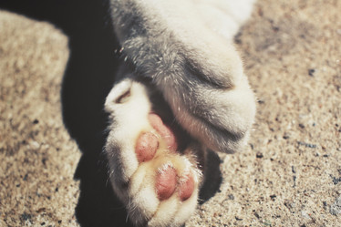 Similar image 8726234