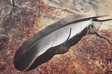 Similar image 8726236