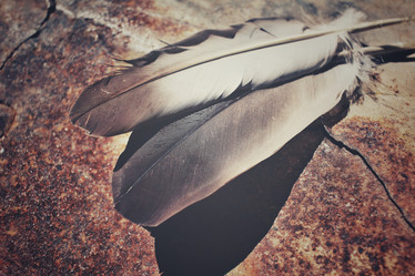 Similar image 8726240