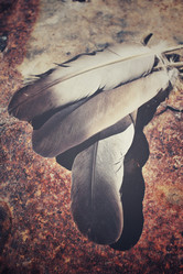 Similar image 8726242