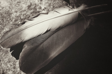 Similar image 8726243