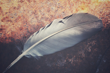 Similar image 8726247