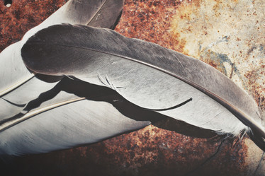 Similar image 8726250