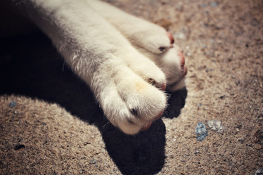 Similar image 8726252