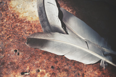 Similar image 8726254