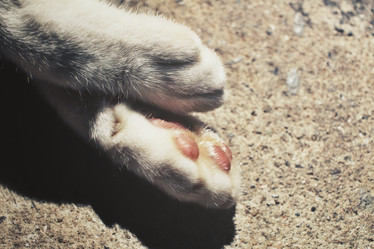 Similar image 8726255